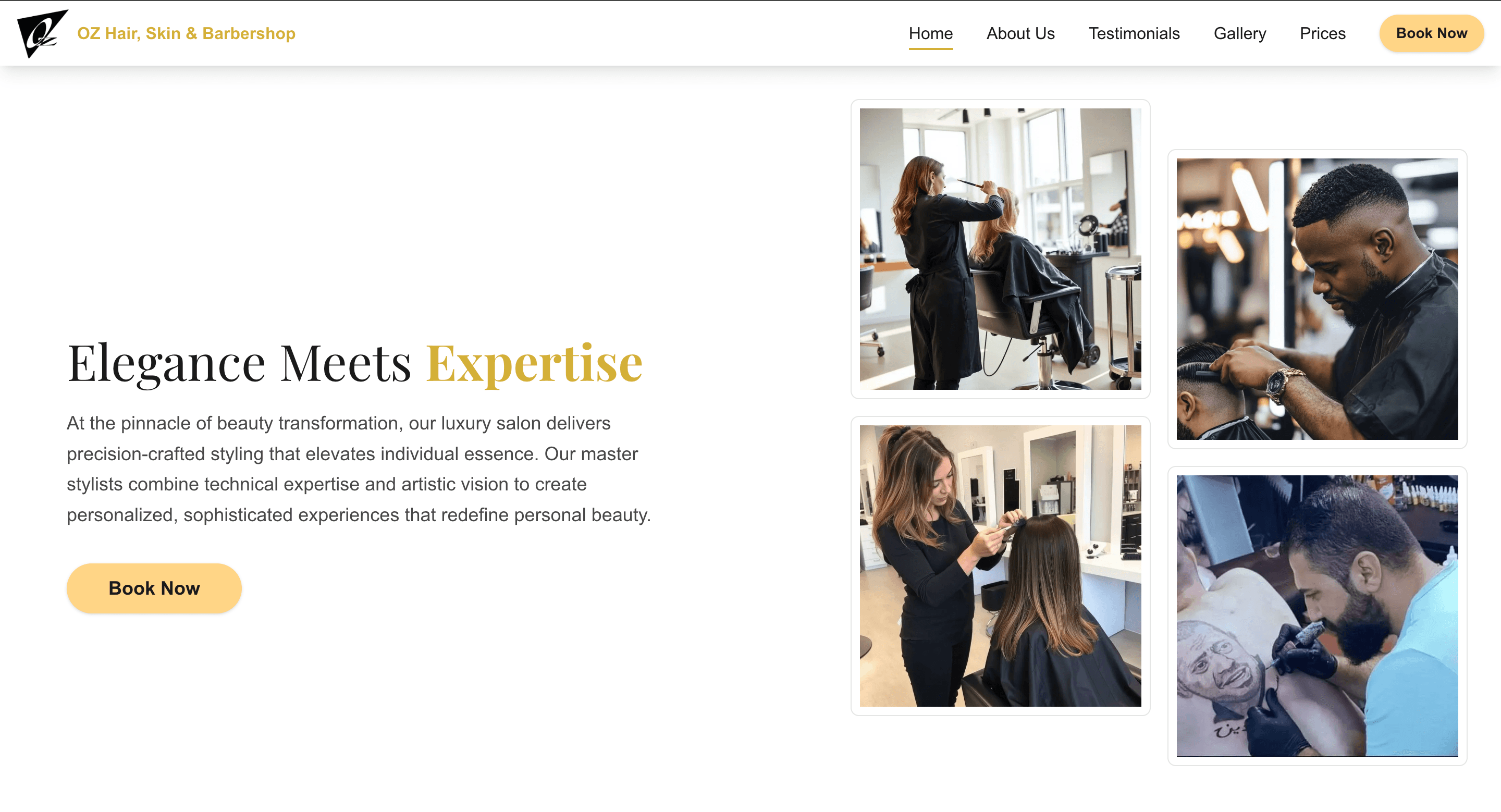 OZ Hair and Skin homepage hero with salon photography